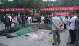 汉中留坝爆料案件最新,揭秘背后惊人真相